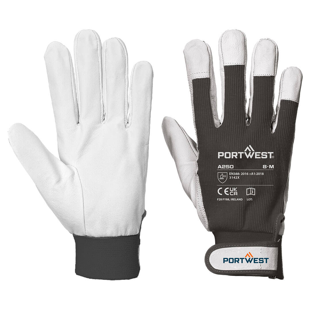 Portwest - Tergsus Glove