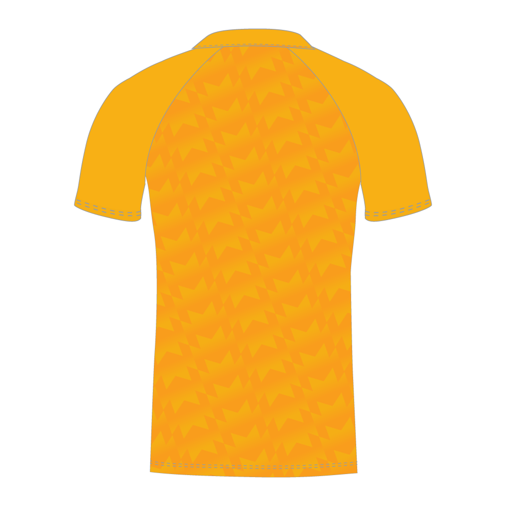 Rear of custom cricket shirt with a geometric pattern