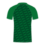 Green sublimated T20 cricket shirt with a geometric pattern rear