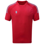 DU009 RED SKY DOTS