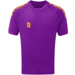 DU009 PURPLE AMBER DIAGONAL