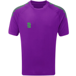DU009 PURPLE EMERALD DIAGONAL