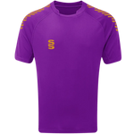 DU009 PURPLE GOLD DIAGONAL