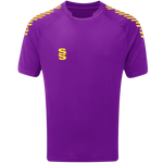 DU009 PURPLE YELLOW DIAGONAL