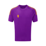 DU009 PURPLE AMBER DOTS