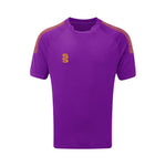 DU009 PURPLE GOLD DOTS