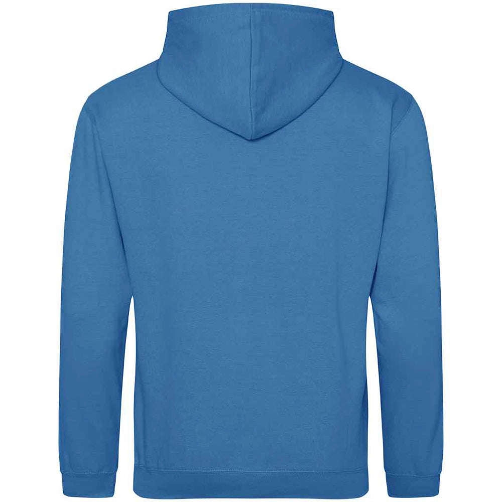 Sapphire Blue AWDIS Just Hoods JH001 College Hoodie shown from the back on a white background