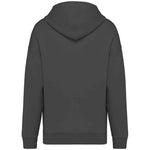 A iron grey Native Spirit Unisex Oversized Hoodie Native Spirit back