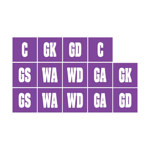 Grid of Hawks Netball Club Patches