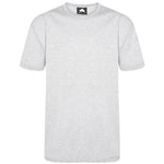 Orn Plover T-Shirt 1000 in Ash